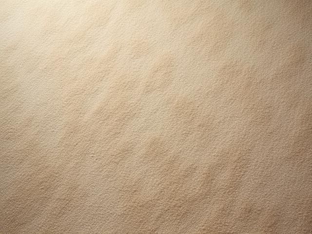 After: fresh, clean high-traffic carpet area